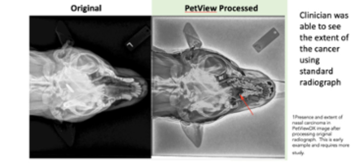 PetView Reveal™ processed image vs. traditional image that improved the standard radiograph to help catch cancer.