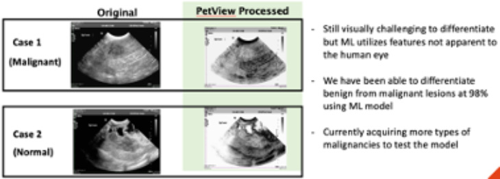 PetView Reveal™ processed image vs. traditional image that illustrates ability to reveal begin and malignant cancer. 